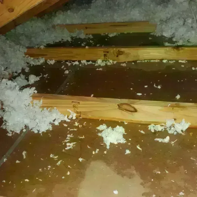 Attic Water Damage in Apalachicola, FL