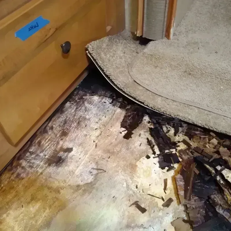 Best Wood Floor Water Damage Service in Apalachicola, FL